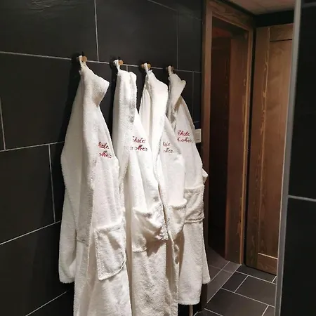 Nouveau M.meta 12 Pers Sauna,jacuzzi,billard Horská chata *