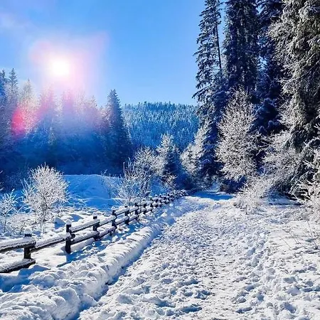 Horská chata Nouveau M.meta 12 Pers Sauna,jacuzzi,billard Xonrupt-Longemer