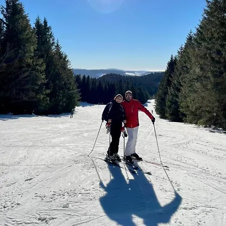 Nouveau M.meta 12 Pers Sauna,jacuzzi,billard Шале