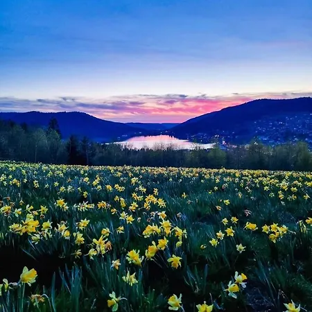 Nouveau M.meta 12 Pers Sauna,jacuzzi,billard Xonrupt-Longemer