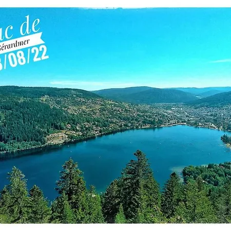 Alpstuga Nouveau M.meta 12 Pers Sauna,jacuzzi,billard Xonrupt-Longemer