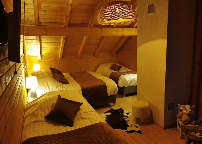 Chalet Nouveau M.meta 12 Pers Sauna,jacuzzi,billard *