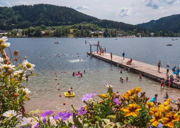 Nouveau M.meta 12 Pers Sauna,jacuzzi,billard Xonrupt-Longemer