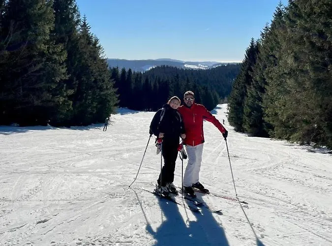 Nouveau M.meta 12 Pers Sauna,jacuzzi,billard בקתה