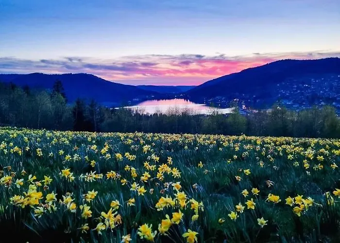 Nouveau M.meta 12 Pers Sauna,jacuzzi,billard Xonrupt-Longemer