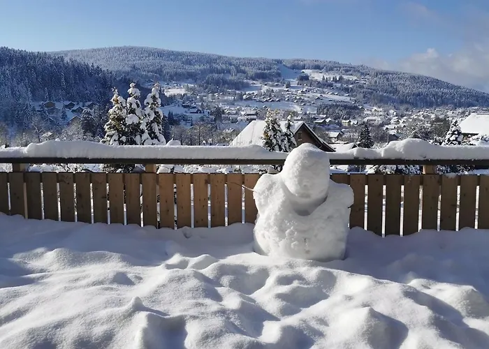 Nouveau M.meta 12 Pers Sauna,jacuzzi,billard